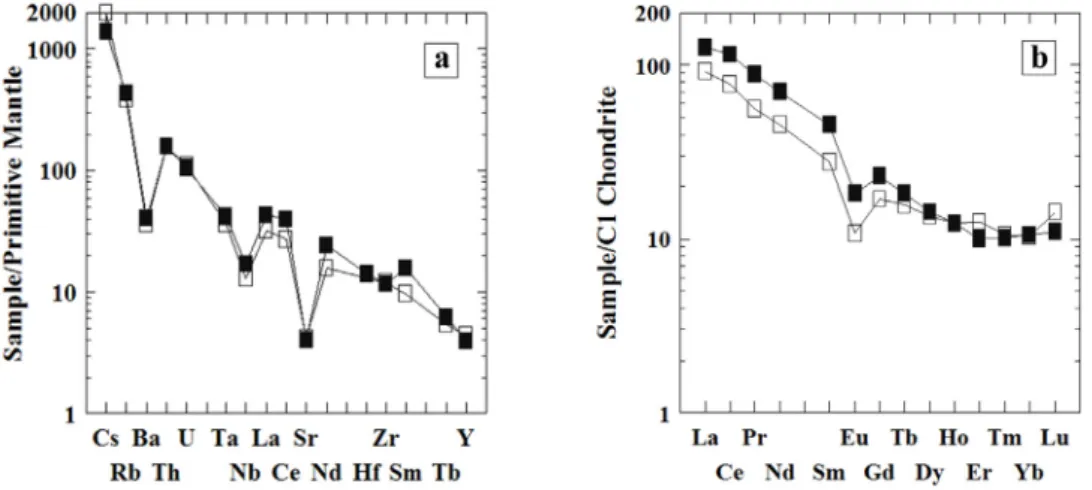 Fig. 6. a. Multi-element patterns normalized to the primitive mantle (Wood et al., 1979) for the granites C2-4 (black square) and CG (white square)