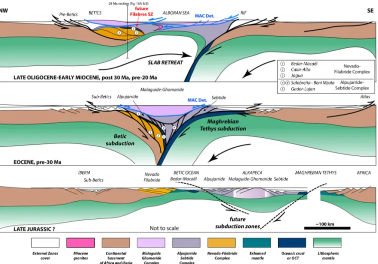 Fig. 15. Pre-20 Ma hypothetical reconstructions along a NW-SE pro ﬁ le of the evolution of the Betic Cordillera and the Rif from the Mesozoic to the Early Miocene