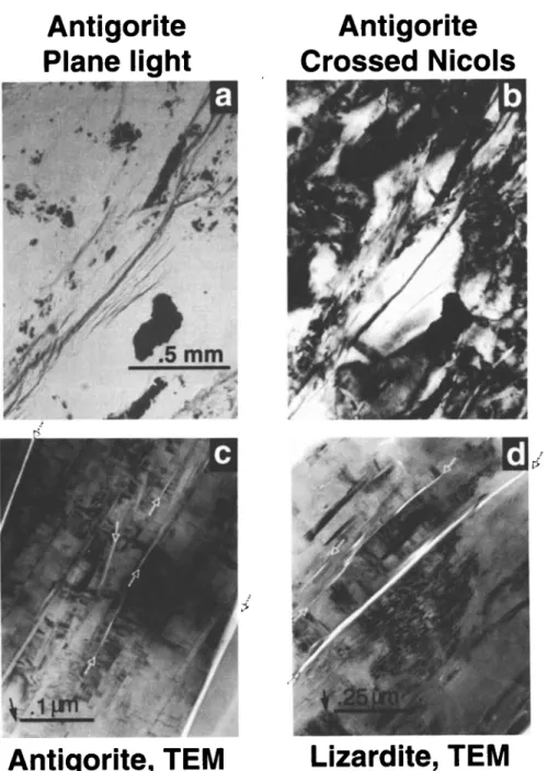 Figure 10.  (a-c) Microstructures  of&#34;ductile&#34; samples  of antigorite  and (d) lizardite deformed  at high pressures