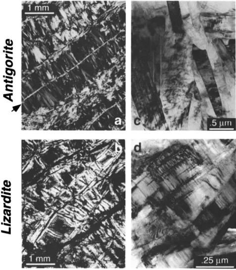 Figure 1.  Optical (crossed  Nicols) and TEM micrographs  (bright field) of undeformed  (top) antigorite  and  (bottom) lizardite