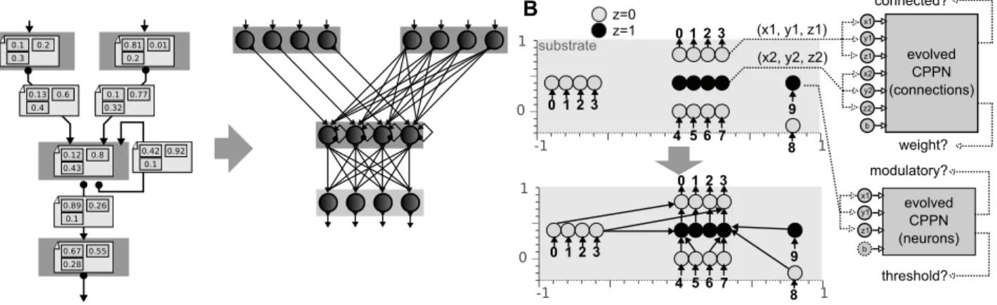 Figure 2.3. A. Principle of the map-based, developmental encoding. The neural network is encoded as a labeled graph (left), which is developped to a graph of maps according to the labels (right)