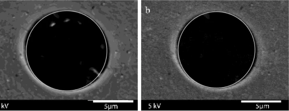 Figure  3.  Two  pores  of  the  10  µm  membrane  of  figure  2,  once  the  precipitated  salts  were  233 