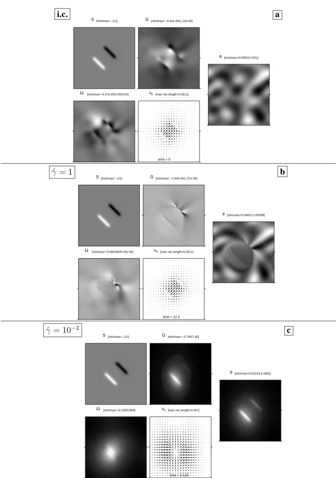 Figure 1. The source-sink field S, the dilation rate G, porosity φ, vertical vorticity Ω, and horizontal matrix velocity v h = u m x ˆ + v m y ˆ for the void-generating damage case (f φ > 0, f A = 0)
