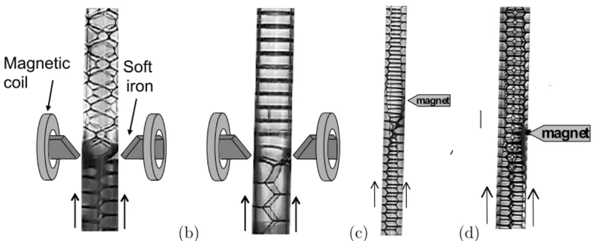 Figure 2.6: Changement de structure d’une mousse ordonnée dans un tube, induit par une force magnétique locale (a) et (b), et torsions dans une structure 2-1-1 (c) et dans une structure 4-2-2 (d) provoquées par un aimant