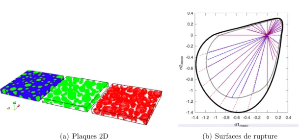 Figure 1.13 – M´ethode multi-´echelles s´equenc´ee de d´etermination d’une surface de rupture bi-dimensionnelle, d’apr`es [Benkemoun, 2010] : fractions volumiques 20%