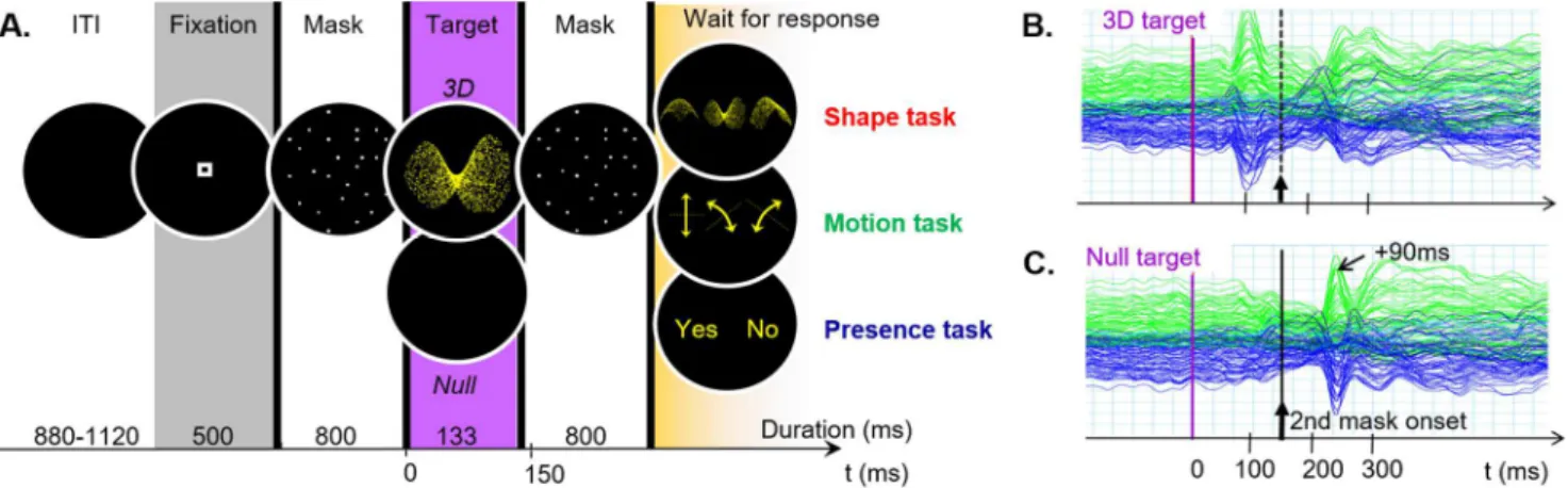 Figure 9. Activity related to a 3D-structure-from-motion stimulus in a time-constrained protocol