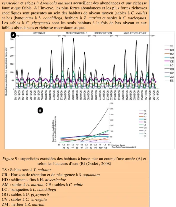 Figure 9 : superficies exondées des habitats à basse mer au cours d’une année (A) et  selon les hauteurs d’eau (B) (Godet , 2008) 