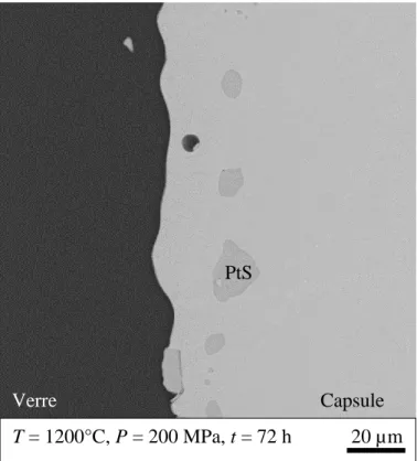 Fig. ii.1. Image MEB de sulfures de platine formés par interaction entre la charge et la capsule en Pt