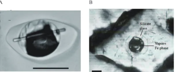 Fig.  1-9:  Melt  inclusions  in  skarn  minerals.  (A)Inclusion  from  endoskarn  with  variable  proportions of silicate glass and nonsilicate, vapor-bearing globules (Fulignati et al., 2001)