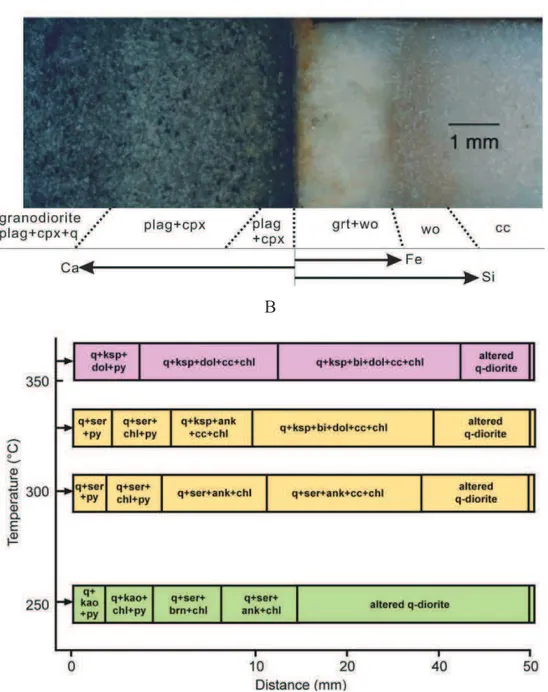 Fig. 1-12: (A) Zonation in an experimental skarn formed at the contact between granodiorite  and  limestone  at  600°C,  Pfluid  =  0.1  GPa  (X CO2   =  0.07);  (B)  Experimental  formation  of  carbonate  metasomatic  zones  in  a  column  of  comminuted