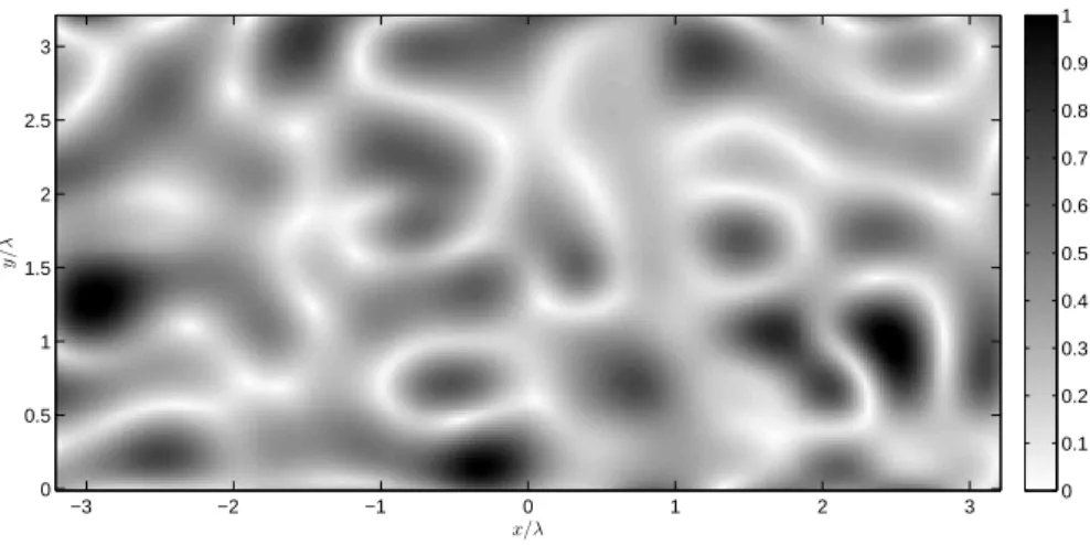 Figure 1.11 – An example of a speckled field distribution (amplitude shown). The coherence distance is close to a wavelength and clearly related to the average dimension of the field spots.