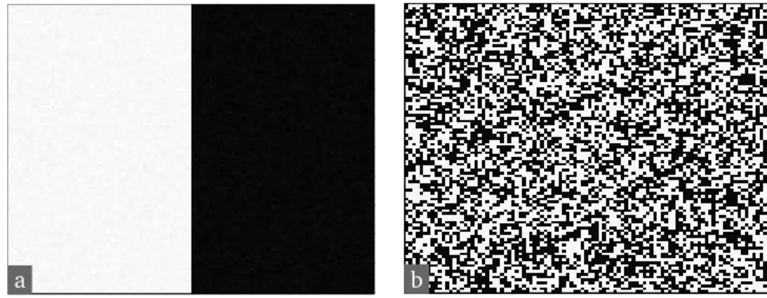 Figure 2.6 – Two images with equal entropy ([b] was obtained by scrambling the pixels of [a])