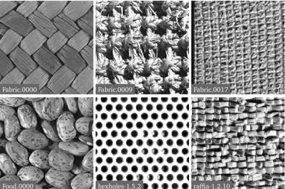 Figure 8.3 – Six of the 40 textures used for denoising tests.