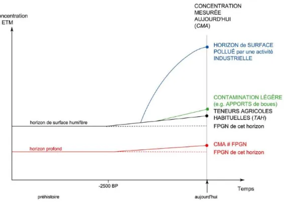 Figure I.3 : Evolution de l’occurrence des ETM dans les horizons de sol. Evolution du  fond  pédogéochimique  naturel  (FPGN)  par  la  dégradation  des  matériaux  parentaux  pendant la pédogénèse, et apport anthropiques exogènes d’ETM au milieu naturel p