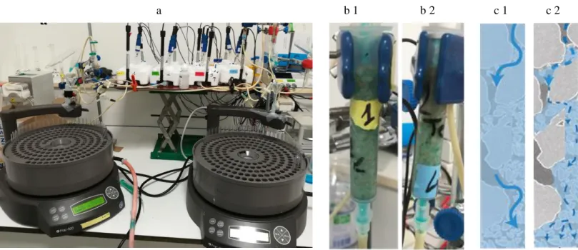 Figure II.4 : Montage expérimental pour l’obtention des courbes de percée au Bleu Brillant (BB) avec (a) mise en place des  collecteurs de fraction, (b1) colonne proche  de l’état de saturation sur la ligne 1,  (b2) colonne insaturée sur la ligne 4, (c1)  