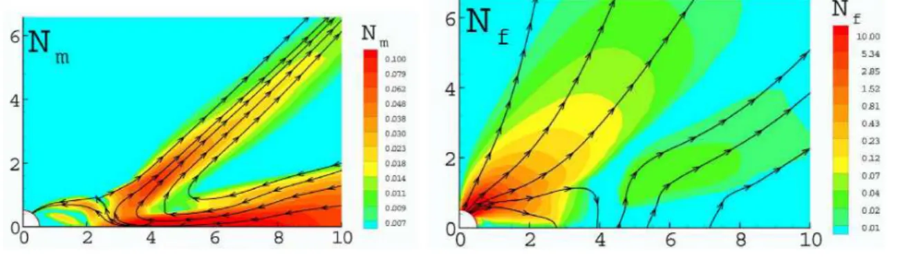 Figure 26. Angular momentum fluxes brought by matter N m and by the magnetic field N f in the propeller regime (from Romanova et al