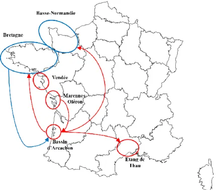 Figure 1 : Principaux transferts entre le Bassin d'Arcachon et les autres bassins de production ostréicole français  (adapté de Meresse et Frostin, 2012) 