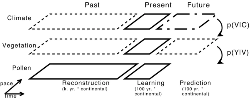 Figure 1.5: Representation of the spatio-temporal dimensions involved in the classical SDM and TF modelling and use