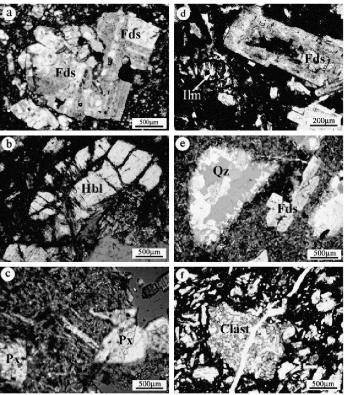 Fig. 4. Photomicrographs of volcanic rocks of the Yili Block. (a) Sample XJ174-6 showing volcanic micro- micro-texture and feldspar phenocrysts with multiple twins, (b) hornblende phenocrysts in sample XJ388, (c) sample  XJ328 showing pyroxene phenocrysts 