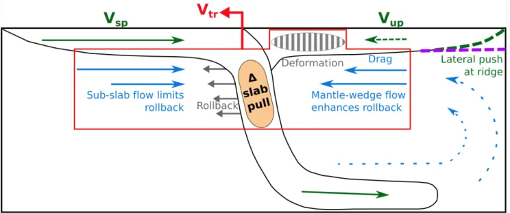 Figure 7: Cartoon of the main processes influencing trench retreat and upper plate deformation for 2-D subduction (similar to the center of a wide-slab  sub-duction)