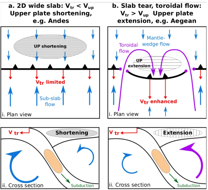 Figure 8: Cartoon of the two end members proposed for upper plate deforma- deforma-tion in subducdeforma-tion zones with retreating trenches