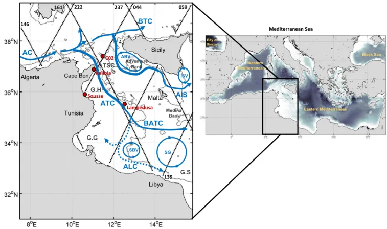 Figure 1. Schematic view of the major ocean circulation features in the central Mediterranean based on Lermusiaux and Robinson [2001] and Sorgente et al