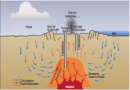 Figure 4 : schéma simplifié de la circulation hydrothermale aux dorsales océaniques. Le projet IDDP  vise à forer en condition supercritique (projet IDDP)