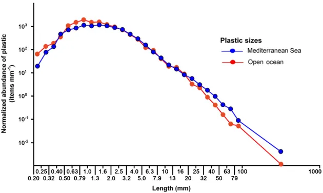 Figure 1.1 – Spectre de taille des débris plastiques collectés en surface dans le bassin médi- médi-terranéen (courbe bleue), et dans les grandes zones d’accumulation océaniques (courbe rouge).