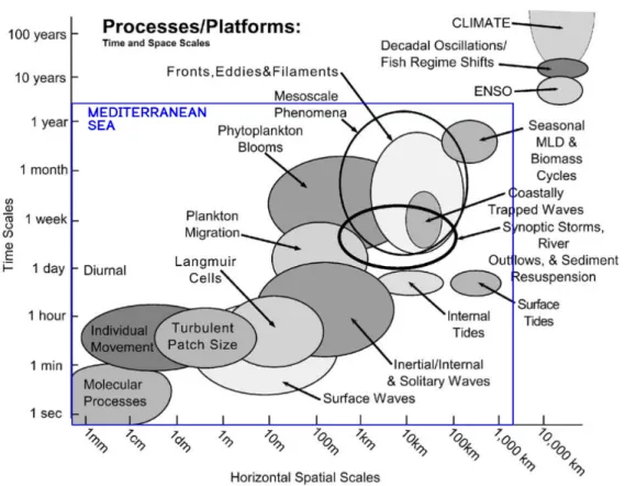 Figure 1.9 – Échelles des processus physiques et biologiques rencontrés dans l’océan. Adap- Adap-tation du diagramme de [Dickey, 2003].