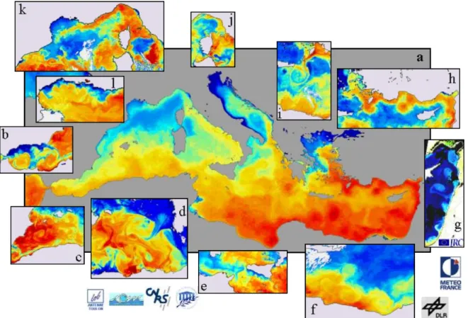 Figure 1.11 – Images de Température de Surface de la Mer (SST) illustrant la dynamique à méso-échelle de la circulation Méditerranéenne