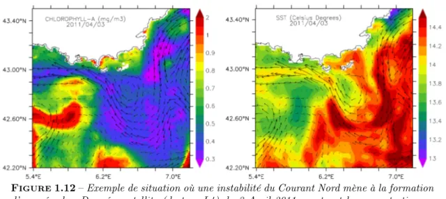 Figure 1.12 – Exemple de situation où une instabilité du Courant Nord mène à la formation d’un méandre