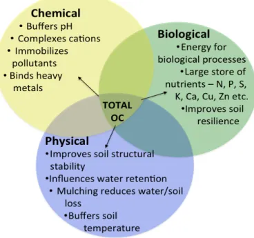 Figure   13:   Chemical,   physical   and   biological   benefits   of   SOM   from   FAO   (2005)