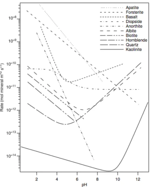Figure   18:   Dissolution   rates   predicted   as   a   function   of   pH.   Figure   from   Brantley   (2008)