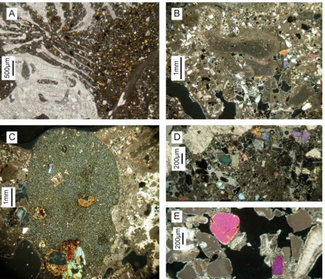 Figure III.7:  Photos de lames minces montrant des remplissages sédimentaires riches en éléments  détritiques provenant de l’altération et de l’érosion des roches volcaniques de l’île (basaltes)