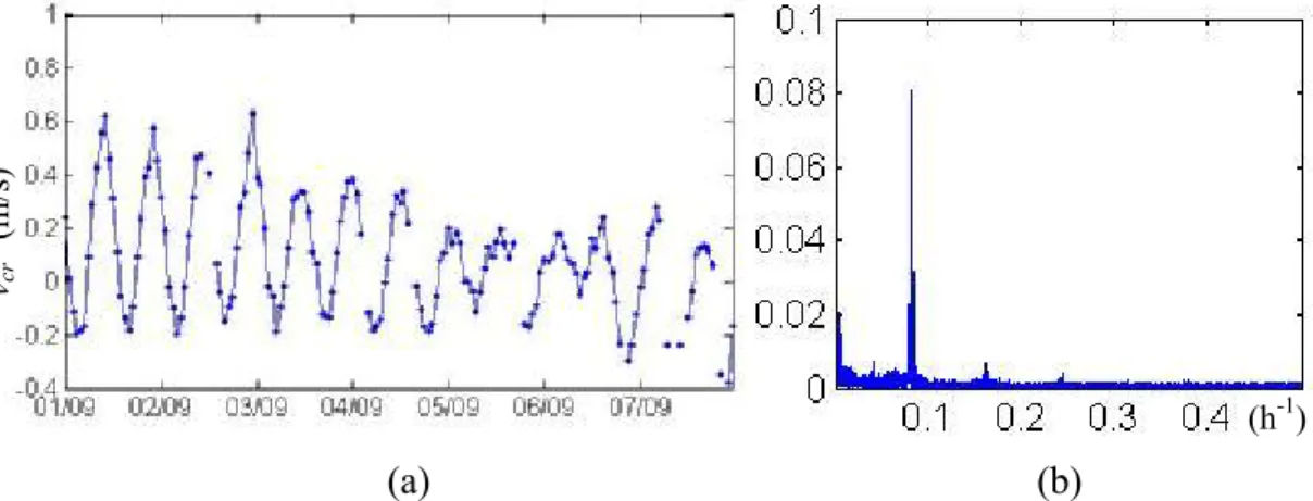 Fig.  4-2  Radial  current  velocities  inverted  from  Doppler  shift.  (a)  Time  series 
