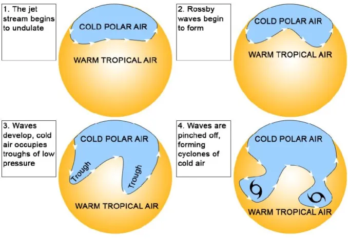 Figure I.3. Formation of the Rossby waves inside the polar jet stream.  1) The jet stream  forms  around  the  zone  of  maximum  pressure  gradient  between  the  cold  polar  air,  and  the  warm tropical air