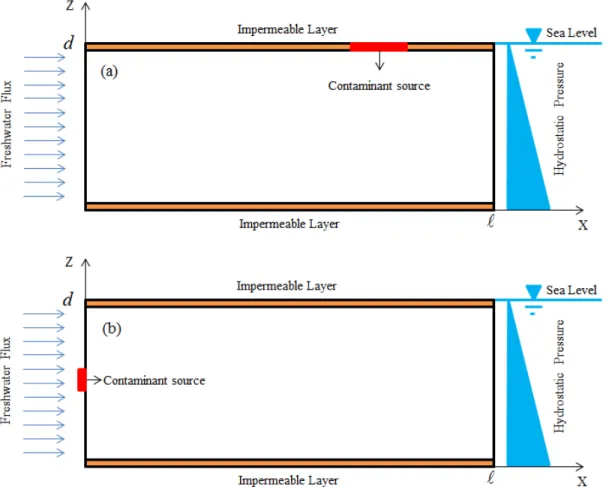 Fig. 3.1. Domain of the studied problem and contamination scenarios: contamination source  at aquifer top surface (a) and landward boundary (b)