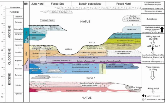 Figure 23: Schéma chrono-stratigraphique des formations du Cénozoïque du Fossé Rhénan (Rousse, 2006) 