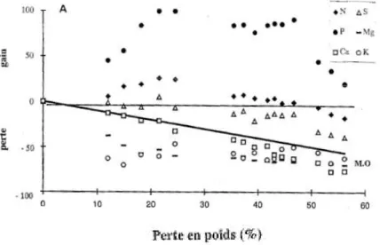 Figure 1-16 : Gains et pertes des éléments minéraux majeurs pendant la décomposition de la litière de hêtre à Aubure  (litière non ensachée) (Zeller, 1998) 