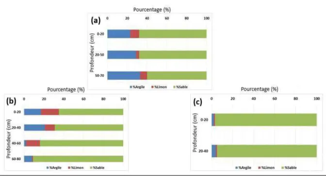 Figure 38. Fraction granulométrique au niveau du profil de (a) : périmètre Hachim  Central ; (b) périmètre ZRG ; (c) lit d'oued 