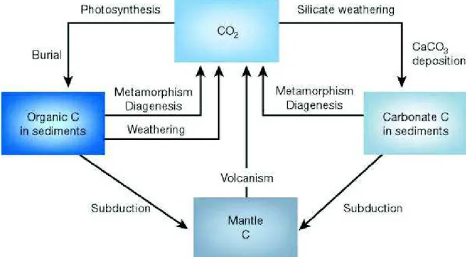 Figure 1-1.  A model of the long-term carbon cycle. Source:  Berner (2003). 
