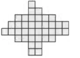Figure  10  Un  polyomino  parallélogramme 