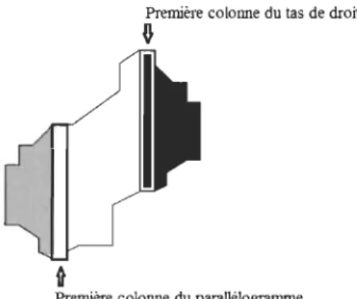 Figure  12  Un  polyomino  dirigé  convexe 