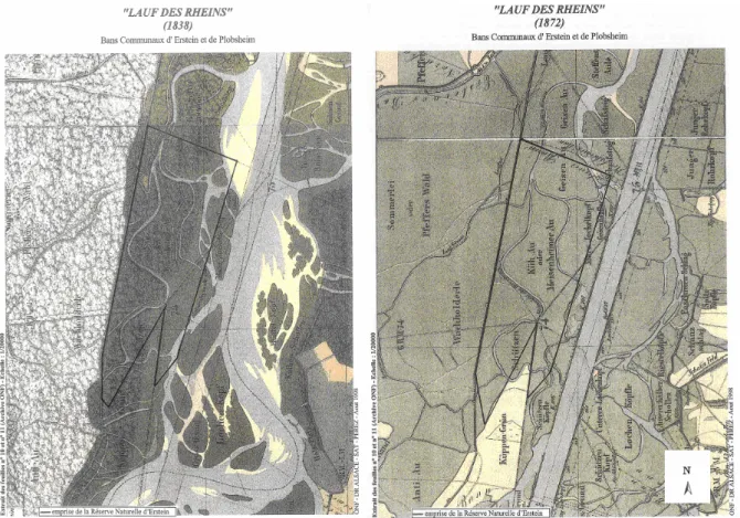 Figure 10 : Evolution du cours du Rhin dans le secteur du polder d'Erstein de 1838 (à  gauche) à 1872 (à droite) (Dillmann, 1995)