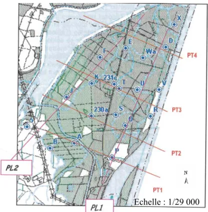 Figure 19 : Localisation des piézomètres dans le polder avec des profils transversaux et  longitudinaux (PT : profil transversal, PL : profil longitudinal) (Trémolières, 2009)