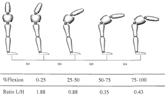 Figure 2 .3  : Rythme lombopelvien normalement observé chez un sujet sain pour chacun  des quartiles de la phase de  flexion (adapté de Esola  1996)