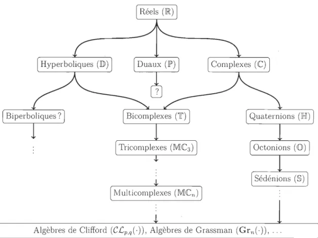 FIGURE  2.1  - Généralisation  des  nombres 