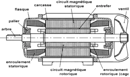 Fig. 2.1  : Morphologie d'une machine asynchrone  à  cage 