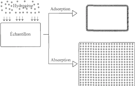 Figure 1 - Différence entre adsorption et absorption 