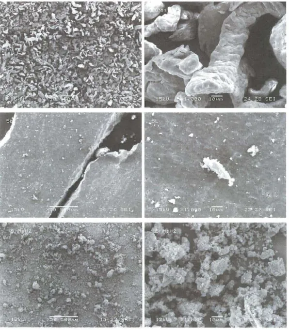 Figure 5 - Images captées par microscopie électronique. En haut, le MgR! tel  que reçu du  manufacturier, au  centre, le  MgR 2  laminé 5 fois  et eu bas, le MgR 2  broyé mécaniquement pendant 30 minutes